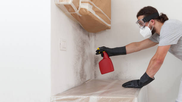 Professional Mold Remediation technician working in Saugus, MA